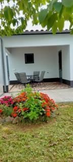 Casa Belém 5 - Ponta Delgada - 8