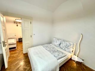 Amazing apartment in the city center - Praga - 1