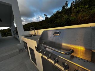 Zafira Luxe - Leonards - 7