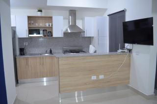 Ocean View Apartment in Boca Chica - Boca Chica - 9