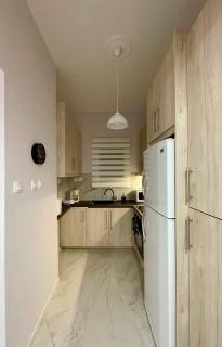 Spacious 2-Bedroom Apartment - 10 minutes from Kallimarmaro - Athen - 4