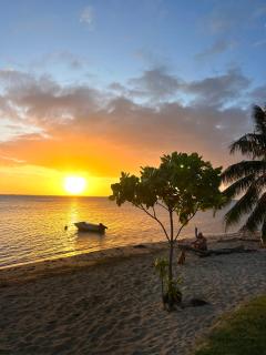 Moorea Dolphin Lodge - Moorea - 8