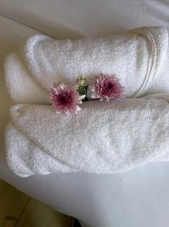 Entre Cantera y Cactus - 1