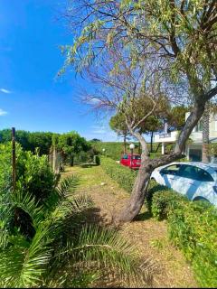 Casa Totò Capo vaticano - Capo Vaticano - 5