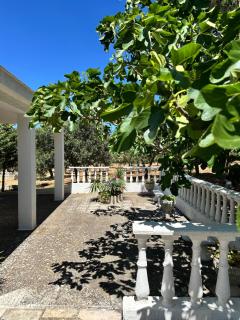 Villa Ninetta - Mottola - 8