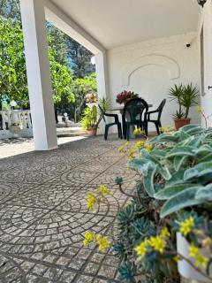 Villa Ninetta - Mottola - 0