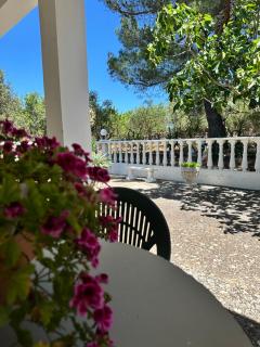 Villa Ninetta - Mottola - 2