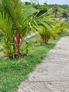 Villa Maya & Villa Massaï - Le Marin - 2