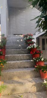 Lux Apartmani Sutomore - Sutomore - 8