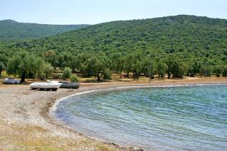 Apartments by the sea Luka Dubrava, Peljesac - 24568 - Janjina - 6