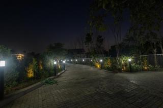 Chauhan Farms - Jāmb - 9