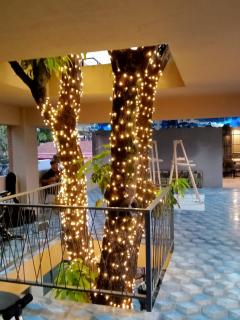 Hotel Casa Nativa Ajijic - Ajijic - 1