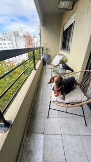 Departamento Ana, hermoso y excelente ubicación!! - Mar del Plata - 9