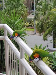 Crown Towers LARGE North One Bed Unit - 3