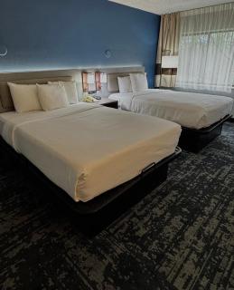 Comfort Inn & Suites Madison - Airport - Madison - 3