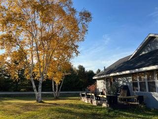 Starlight Cottage -3 bed 2Bath - Alanson - 5