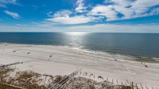 Phoenix IV 4103 condo - Orange Beach - 1