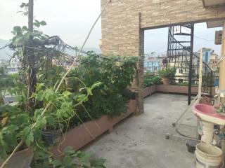 Aayan family home - 4