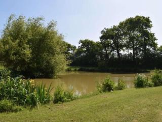Holiday cottage with 4 bedrooms - La Haye-du-Puits - 6