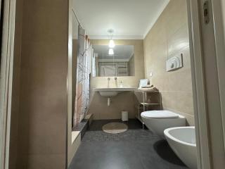 Attico tra le stelle - amazing deluxe app with terrance & box by Home a porter - Turin - 1