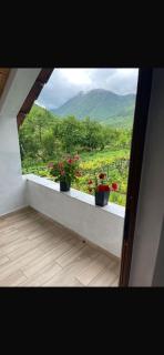 Paja Guesthouse - Camping - Bogë - 9