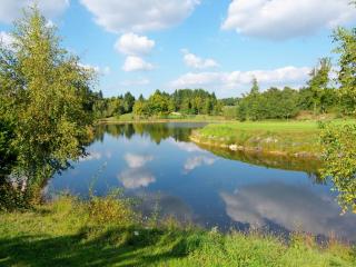 Very nice cottage with studio on a domain with heated pool - Roussines - 3
