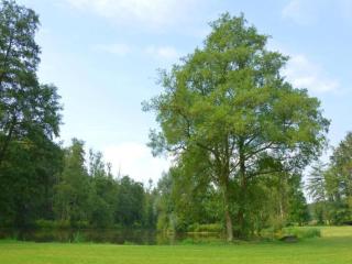 Holiday home in Modave with garden - Modave - 9