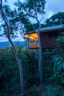 Thala Beach Nature Reserve - Port Douglas - 5