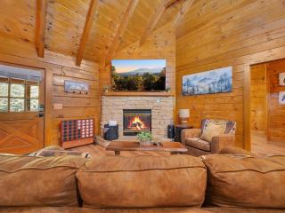 ER76 - Bear Tracks - Great location! Close to all the action! cabin - 1