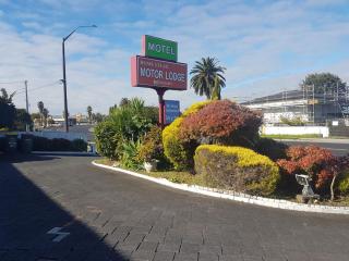 Motel Homestead - Auckland - 4