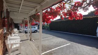 Motel Homestead - Auckland - 1