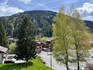 Appartement confortable au Grand-Bornand pour 5 personnes - FR-1-467-146 - Le Grand-Bornand - 3