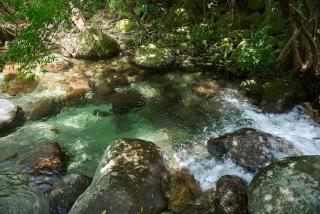 日照雨 SOBAE Stream Villa YAKUSHIMA Private villa on the river in the primeval forest - Yudomari - 5