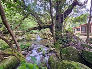 日照雨 SOBAE Stream Villa YAKUSHIMA Private villa on the river in the primeval forest - Yudomari - 3