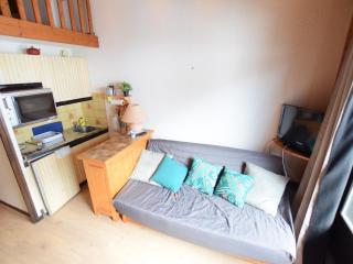 Charmant duplex près des pistes pour 4 personnes avec balcon exposé sud - FR-1-498-88 - Bernex - 4