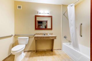 Comfort Inn & Suites - Michigan City - 8