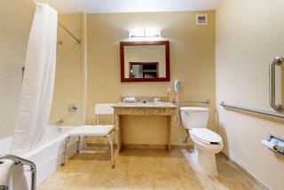 Comfort Inn & Suites - Michigan City - 7