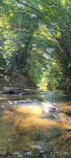 Sítio Com riacho particular em Cachoeira de Macacu - 9