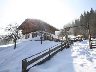 Chalet in Hüttau near Ski Amade Slopes, cleaning included - Hüttau - 3