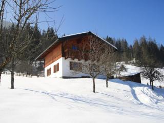 Chalet in Hüttau near Ski Amade Slopes, cleaning included - Hüttau - 4
