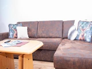 Holiday flat with National Park, cleaning included - Hollersbach im Pinzgau - 7