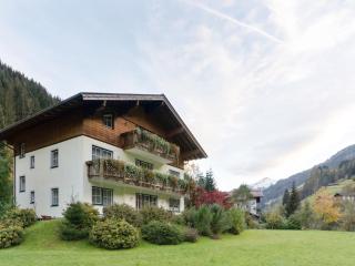 Apartment in Grossarl near Ski Slopes, cleaning included - Großarl - 9