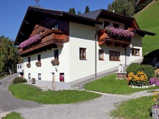 Apartment in Wagrain near Red 8 Gondola, cleaning included - Wagrain - 5