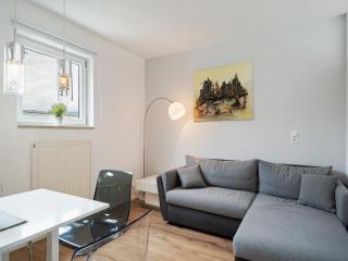 Apartment Innsbruck near Bergisel Ski Jump, cleaning included - 0