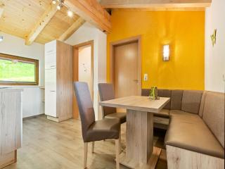Apartment in Hollerbach near Kitzbühel Ski Lift, cleaning included - 0