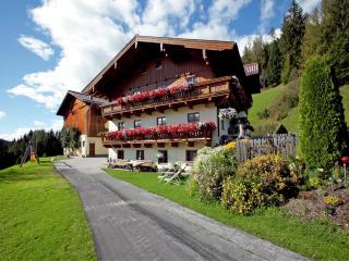 Farmhouse in Wagrain near Ski Sportwelt, cleaning included - Wagrain - 9
