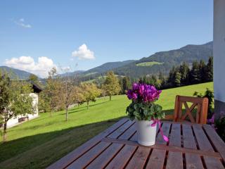 Apartment in Hüttau near Ski Amade Slopes, cleaning included - Hüttau - 4