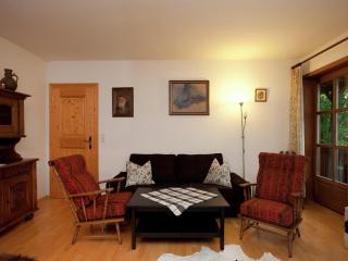 Flat in Mittersill near Ski Slopes, cleaning included - Mittersill - 3