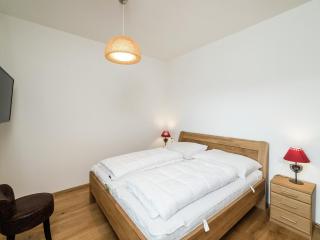 Luxury Apartment in Salzburg with terrace, cleaning included - Alpendorf - 1