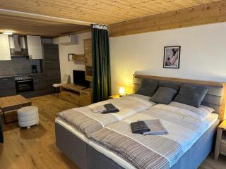 Apartment in Saalfelden near Ski Slopes, cleaning included - Saalfelden am Steinernen Meer - 8